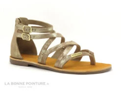 Tropeziennes PHARELL Beige Or - 23084 - Sandale Montante Tong 13 Tropeziennes PHARELL Beige Or - 23084 - Sandale Montante Tong -Réduits Chaussures Magasin cd24607c73b9e66c561f35ea11d5d5ef img 2382.jpg 149331