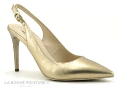 NeroGiardini E307041DE 434 - Escarpin Or Talon Haut Et Bride Arriere 13 NeroGiardini E307041DE 434 - Escarpin Or Talon Haut Et Bride Arriere -Réduits Chaussures Magasin cd24607c73b9e66c561f35ea11d5d5ef img 7132.jpg 180093